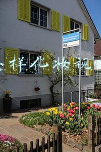 化妆怎么化视频(新手正确的护肤和化妆步骤)