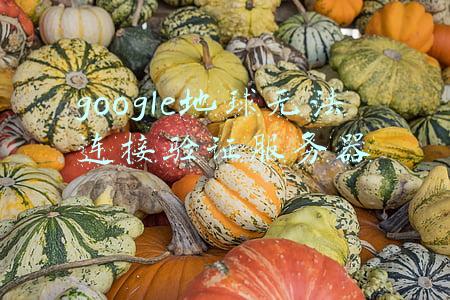 google地球连不上服务器(谷歌地球无法连接到登录服务器，如何解决？)
