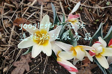 谷歌地球无法连接验证服务器以激活你的会话(游戏论·他山之石丨《ECRIT-O》：独立游戏的动词表)