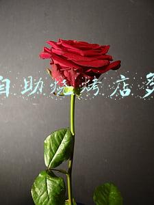 自助烧烤店创业计划书 自助烧烤店创业计划书范文3000字