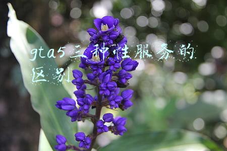 gta5三种性服务的区别是什么(EPIC游戏怎么添加到Steam游戏库？（纯小白教程）)