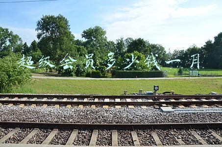 超级会员多少钱一月