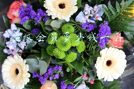 超级会员多少钱一个月(唯品会超级VIP年卡有什么优惠？（多少钱、怎么开通）)