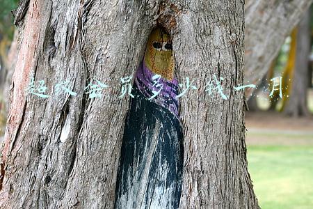 超级会员多少钱一月