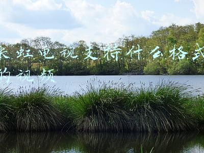 长虹电视支持什么格式的视频