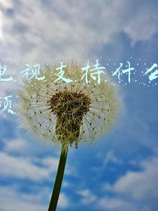 长虹电视彩色制式在哪(CHiQ Q3T设置菜单详解)