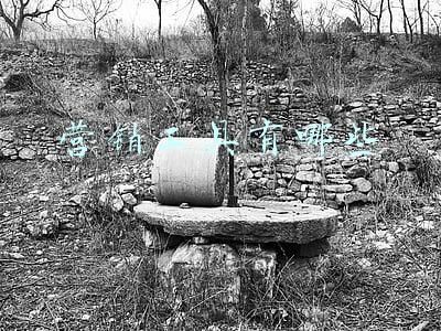 营销工具有哪些