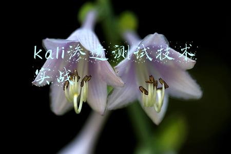 kali渗透测试技术实战