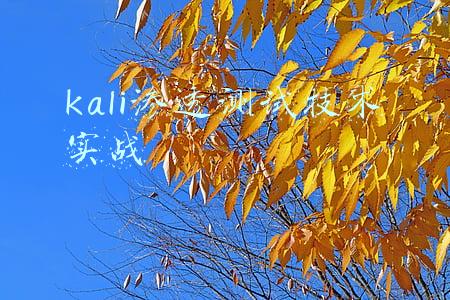 kali渗透测试技术实战
