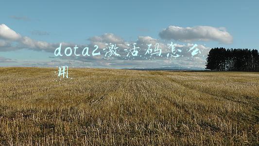 dota2激活码怎么用