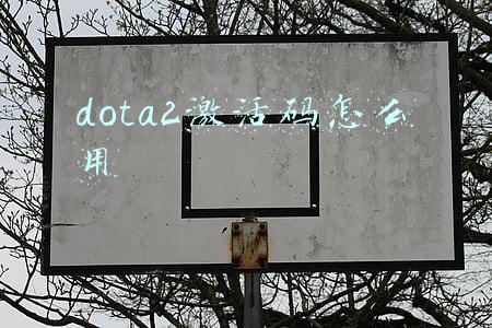 dota2激活码怎么用