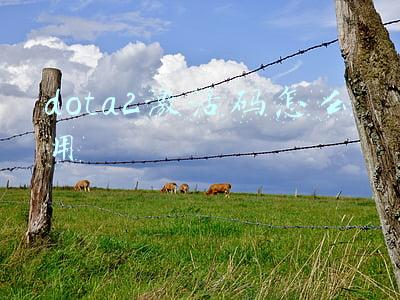 dota2激活码怎么用