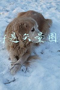 pdf转换成矢量图(PDF处理，流程图制作，位图转矢量图在线操作，快来学啊)
