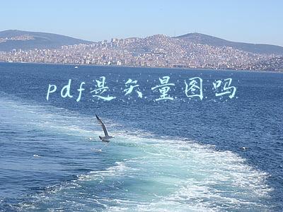 pdf转矢量图cad(如何把PDF设计图纸转为CAD格式？)