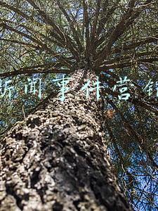 新闻事件营销