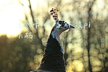 sim卡网络解锁nck码(手机SIM卡常见的故障有哪些？)