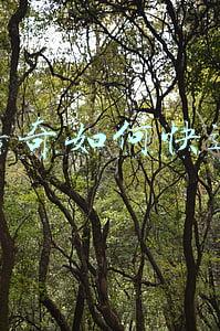 轩辕传奇如何快速赚钱