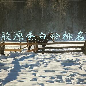 胶原蛋白粉排名