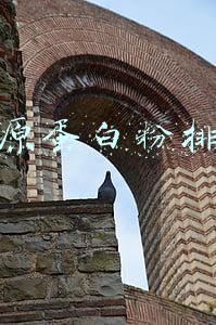 胶原蛋白粉排名