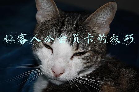 让客人办会员卡的技巧