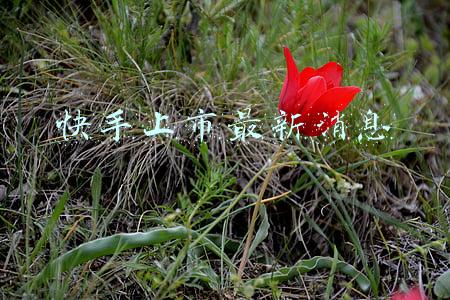 快手上市最新消息敲钟人(今天，两位80后程序员敲钟：快手市值冲破13000亿)