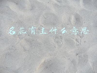 什么是名花有主(故事：名花有主)