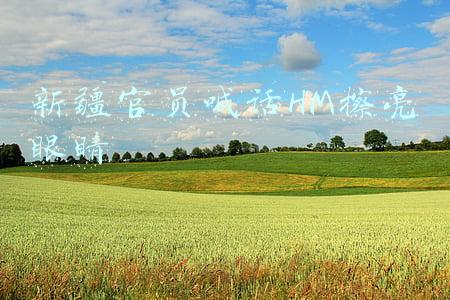 新疆官员喊话HM擦亮眼睛