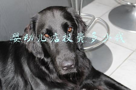母婴店要投资多少钱 开一个母婴店要投资多少钱