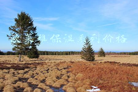 欧莱雅保湿系列价格
