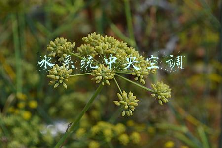水系统中央空调
