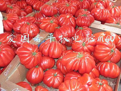 爱国者平板电脑m60怎么刷机(谁是当今最强轻步兵，2022年中美轻型步兵火力对比)