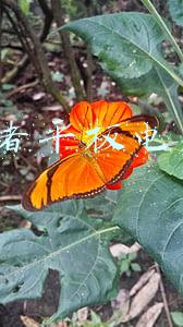 爱国者平板电脑m60