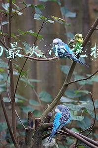 2020最火小说排行榜