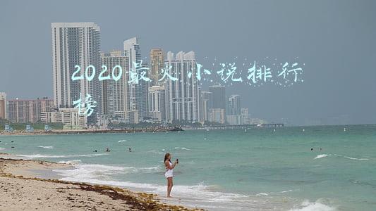 2020最火小说排行榜