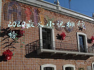 2020最火小说排行榜