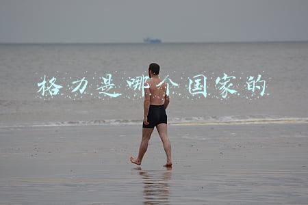 格力是哪个国家的技术(解码格力：从组装小厂到全球巨头，“制造力”从何而来)