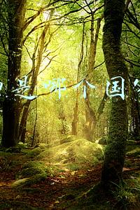 格力空调噪音国家标准(济南：格力空调噪音大 一扫码竟发现“早买”半年)