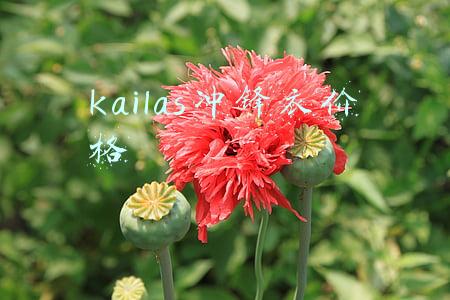 scaler冲锋衣价格(近四成冲锋衣样品名不副实！涉嫌虚假宣传→)