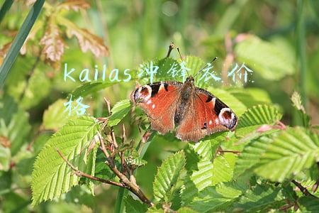 kailas是什么牌子(国产户外有媲美国际一线大牌的吗？这6家告诉你答案)
