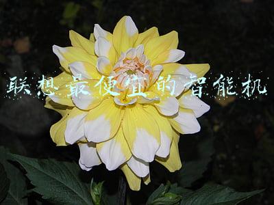 联想最便宜的一体机(联想YOGA 27 2021一体机公布 首发6199元起)