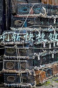刷新快捷键