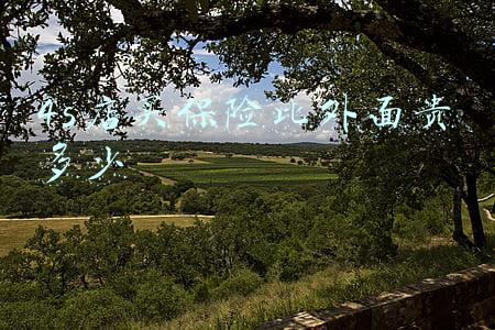 4s店上保险贵多少《4s上保险一般贵多少》