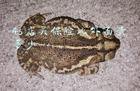 4s店强制买保险怎么办，买新车4s店强制买保险怎么办