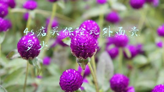 保险公司跟4s店有什么猫腻-新车4s店买保险猫腻