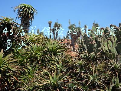 买车必须在4s店买保险-买车必须在4s店买保险吗第二年可以换吗?