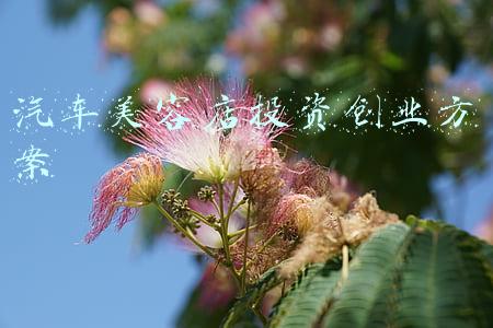 汽车美容店投资创业方案
