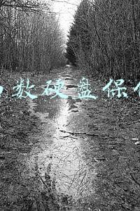 西数硬盘保修
