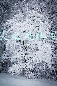 天之痕地图迷宫大全(《天之痕》怪物分布，神魔异世录100%辨识度，盗窃物品图鉴)