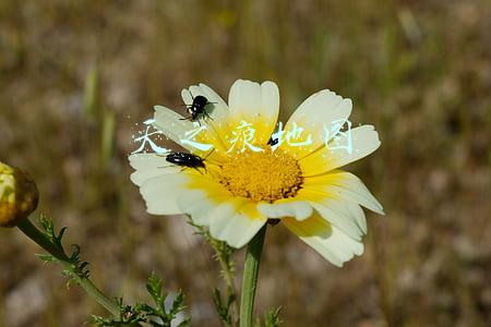 天之痕地图高清大图(《轩辕剑3天之痕》白玩了二十年，多少玩家错过了最佳练级点)