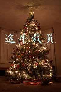 途牛为什么现在还在招人(途牛旅游：只要手中有钉钉，哪里都能捞到优质校招生！)
